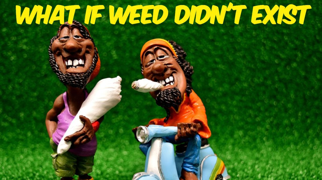 ⁣What If Weed Didn't Exist_ 😱